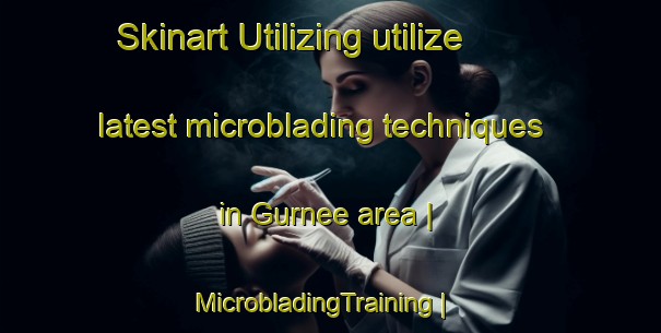 Skinart Utilizing utilize latest microblading techniques in Gurnee area | MicrobladingTraining | MicrobladingClasses | SkinartTraining-United States